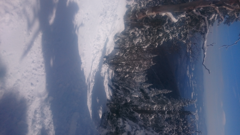 I hate kinja, it refuses to rotate this photo correctly